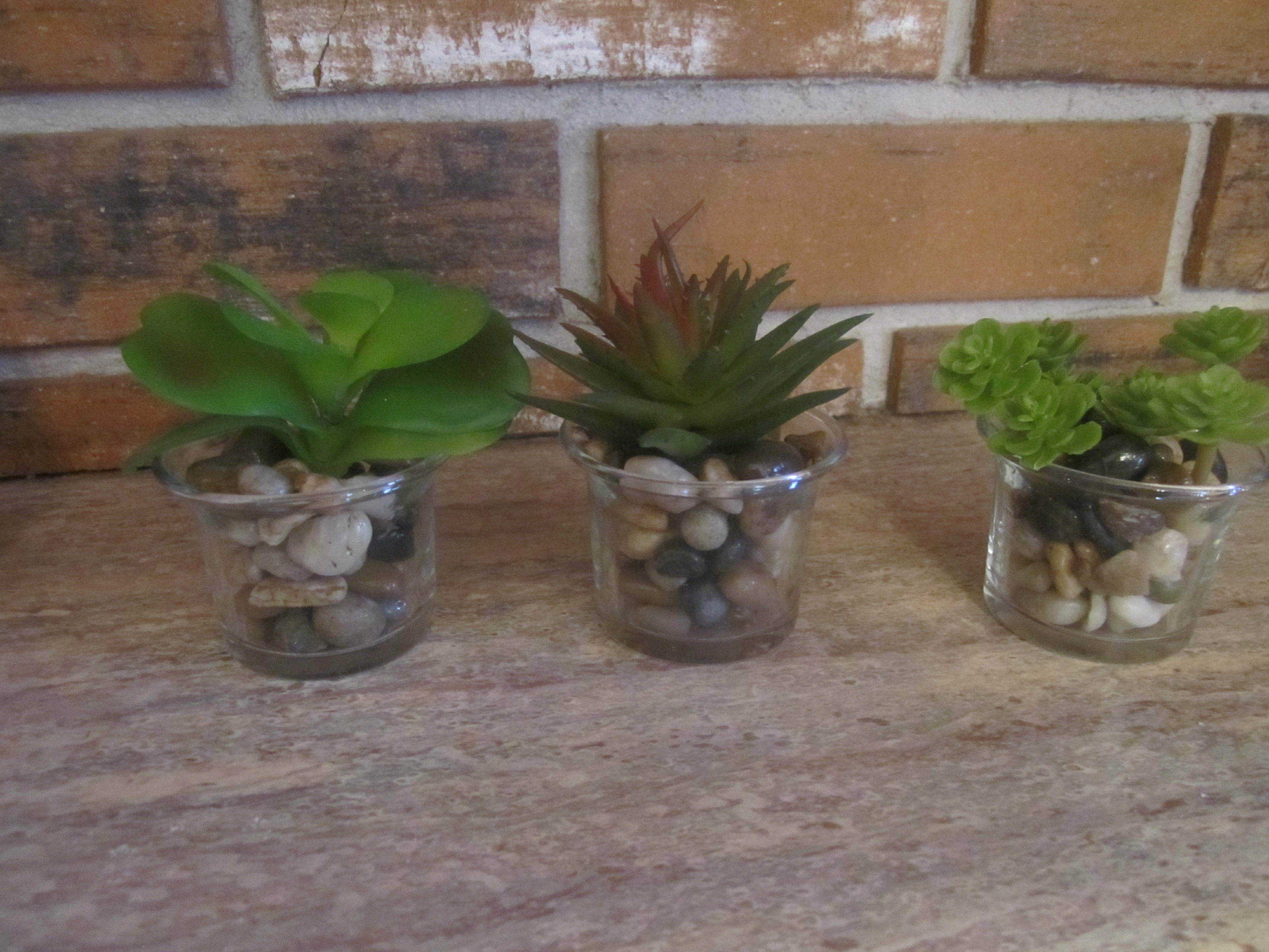 Mini Mason Jar Succulents